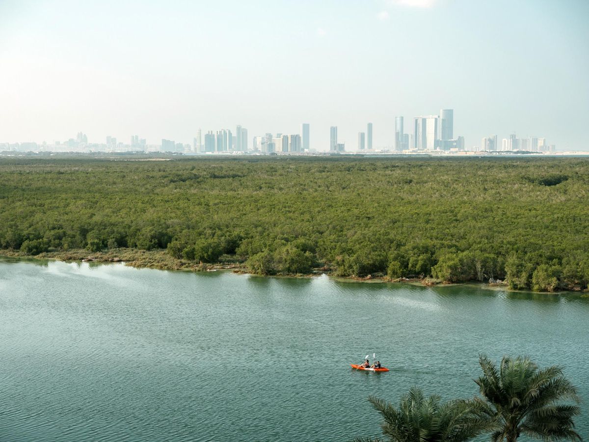 Abu Dhabi mangroves and skyline